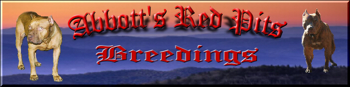 Abbott's Red Pits breedings page